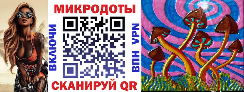 Галлюциногенные грибы Cubensis  Купить  Гагарин 